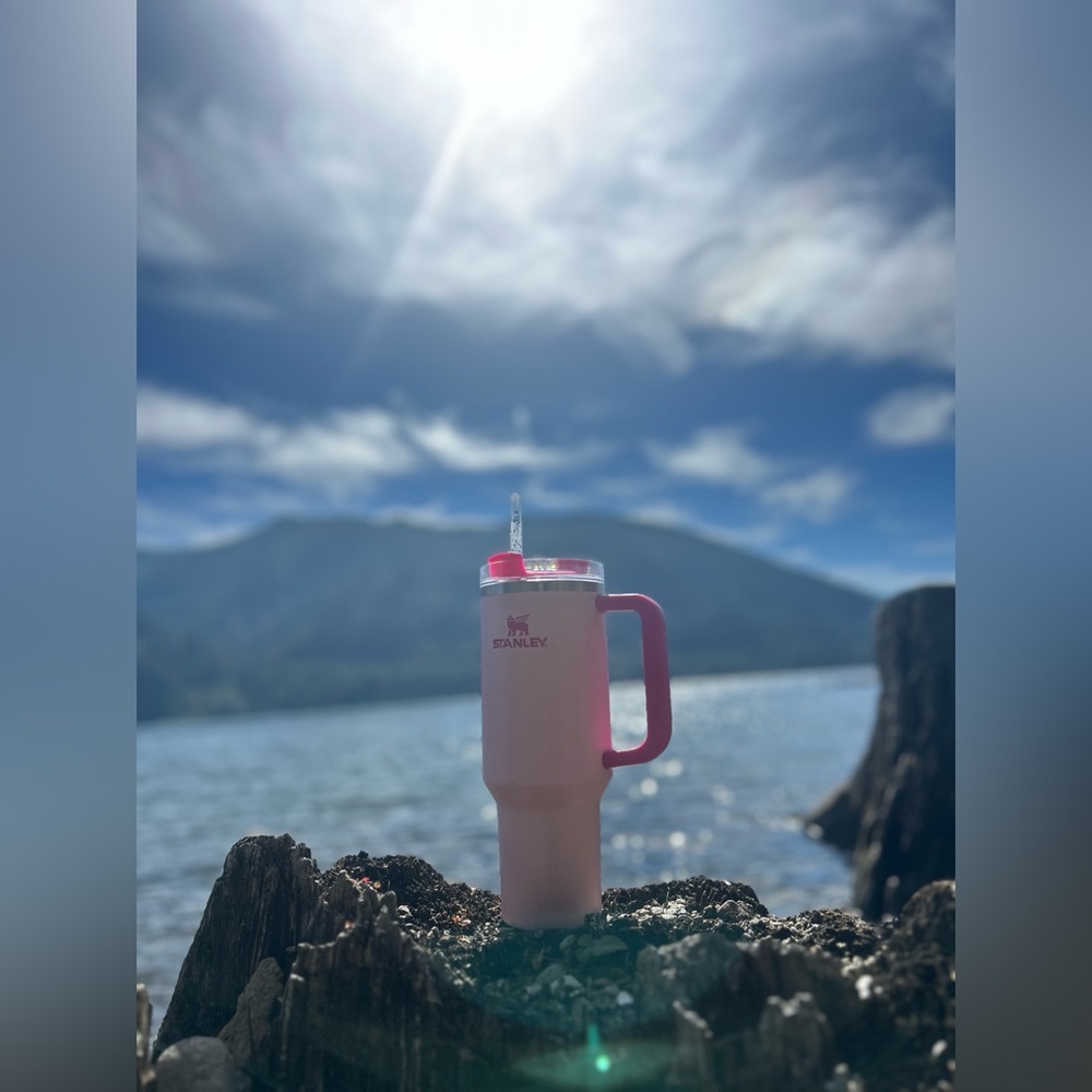 Stanley X Target Exclusive 40oz Flamingo Tumbler - Used | Color: Pink